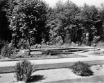 Lily pond in Botanical gardens