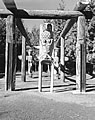 Kwakiutl house poles, Totem Park