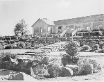 [Landscaped grounds behind Faculty Club]