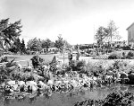 [Landscaped grounds behind Faculty Club]