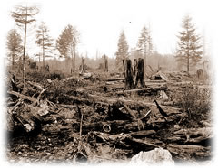 Clearing the Point Grey campus, 1914