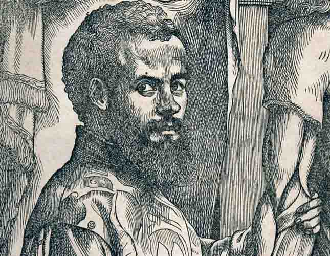 Vesalius